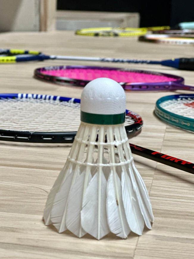 Sulgpallipäev Lenne sulgpallikeskuses